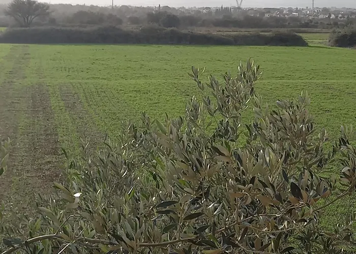 ταξιδιώτες Travellers